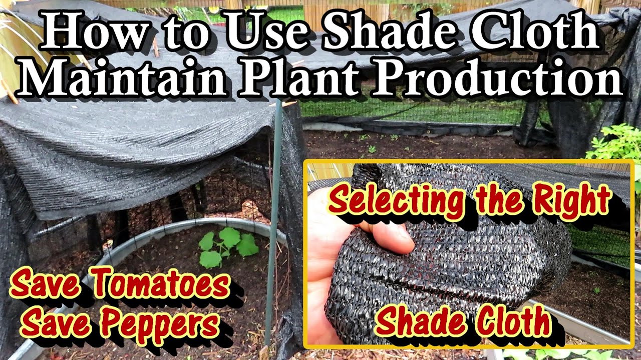 Beat the Heat - How to Select & Use Shade Cloth in Your Garden: Keep Tomatoes & Peppers  Producing!
