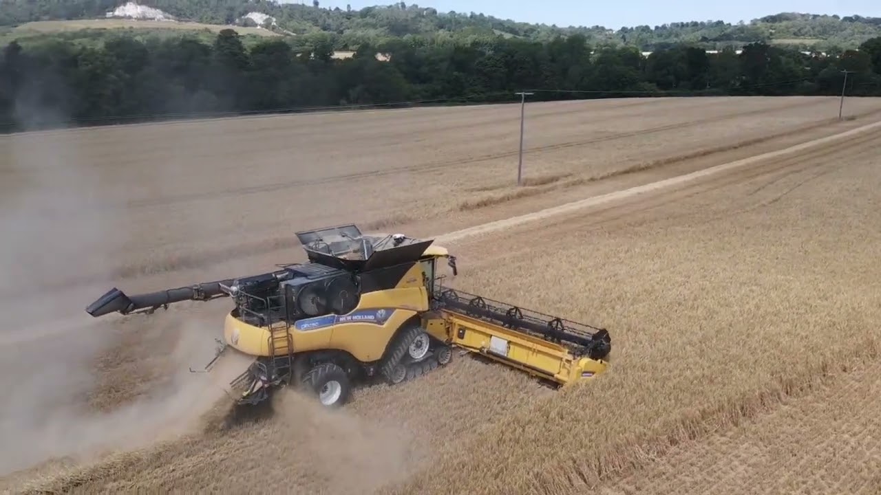 Harvest 2022