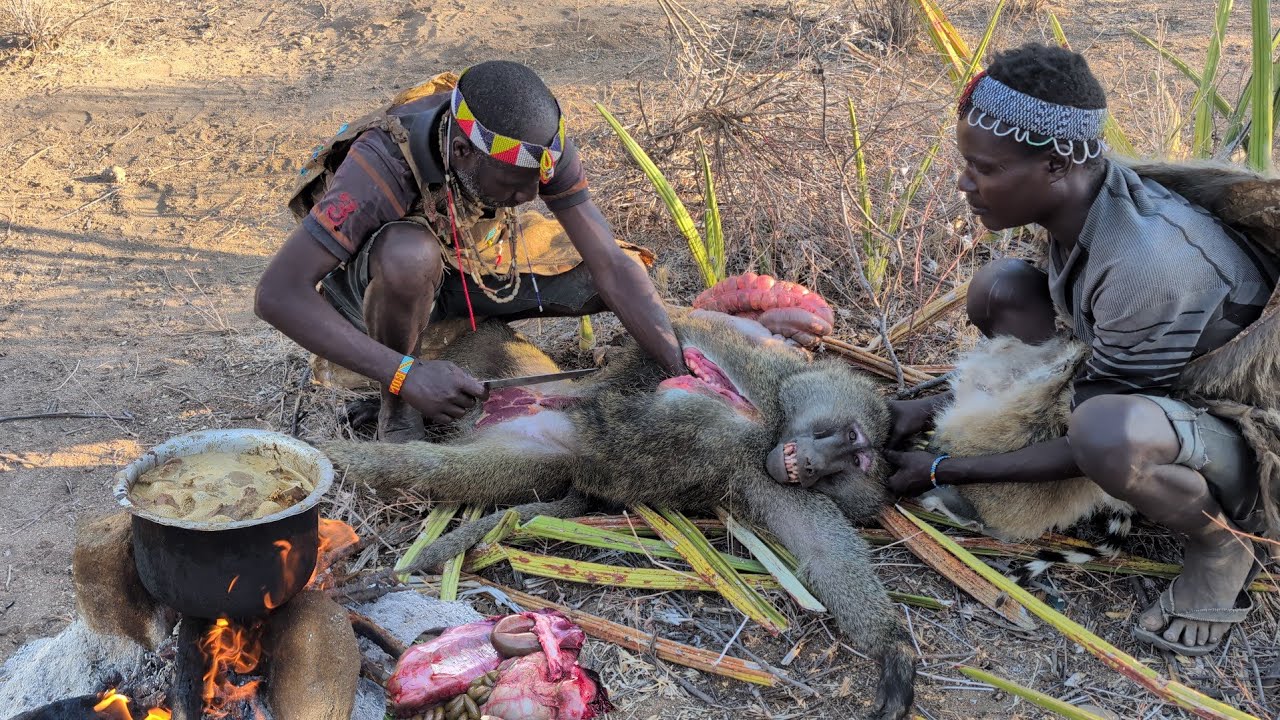 Hadzabe tribe celebrating a successful hunt Baboon and Cooking Lunch.