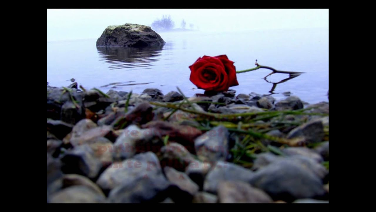 Gezuar Shen Valentinin !