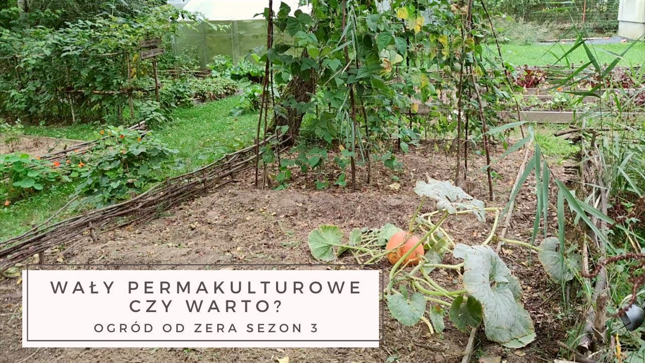 Wały permakulturowe - czy warto?