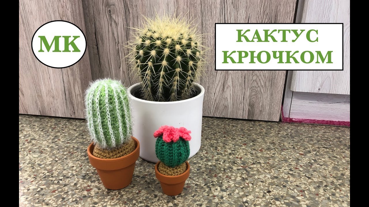 МК: 🌵 КАКТУС КРЮЧКОМ. 2 СОРТА = 1 СХЕМА.  CROCHET CACTUS