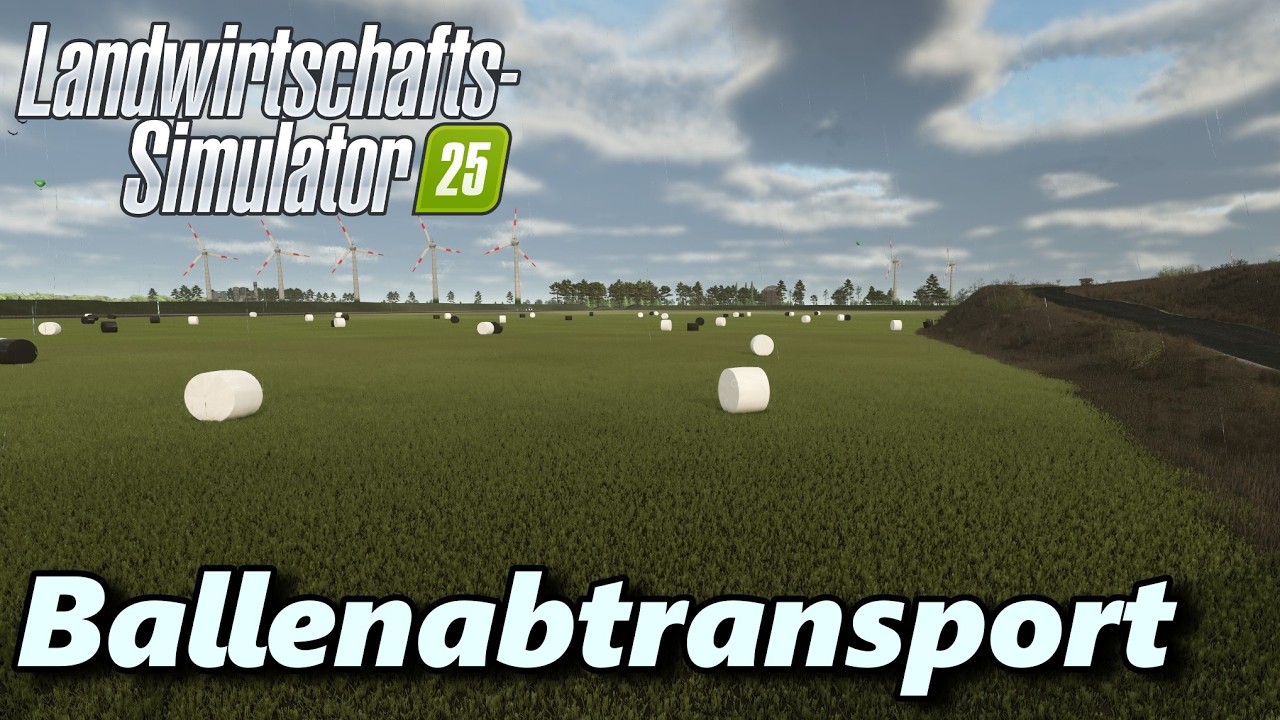 LS25 NF Marsch #19 Große Pläne auf dem Hof - würde gern ein Team aufbauen