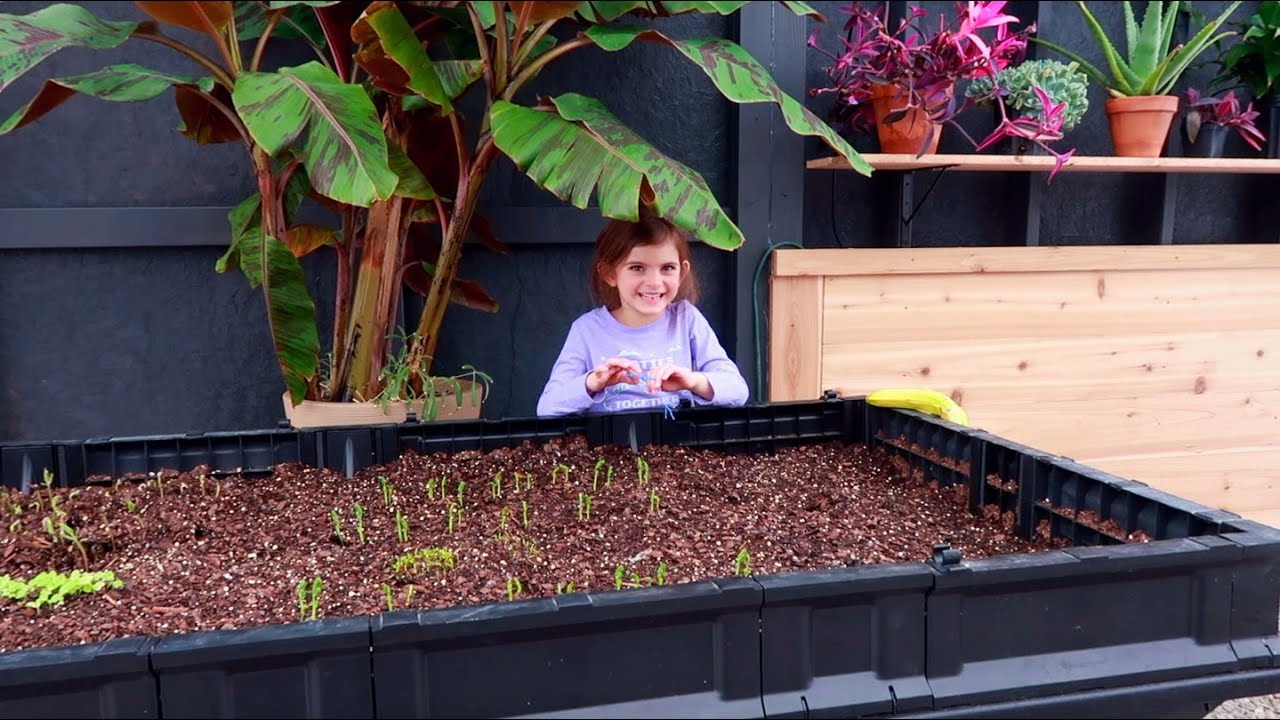 Seeds Are Poppin' in the Vegepod | Greenhouse Update Growing Fresh Food in Winter | Family Gardening