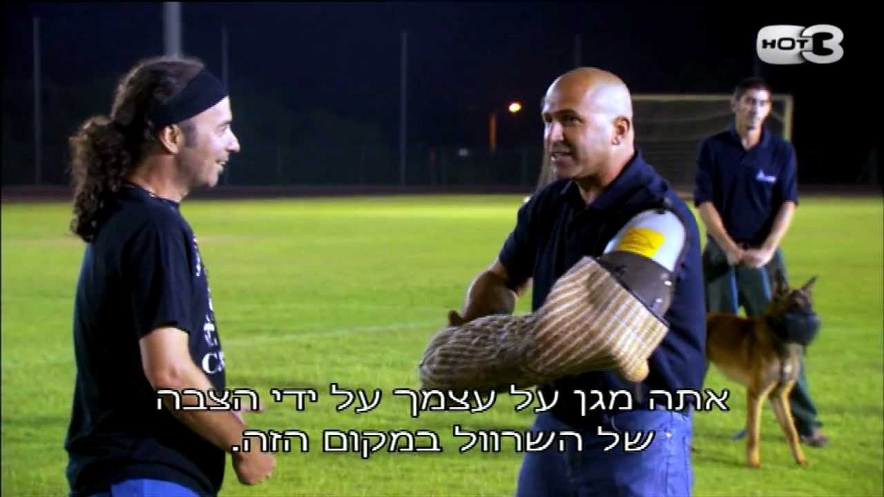 לך יא כלב! - מתוך פרק 4 גולסטאר
