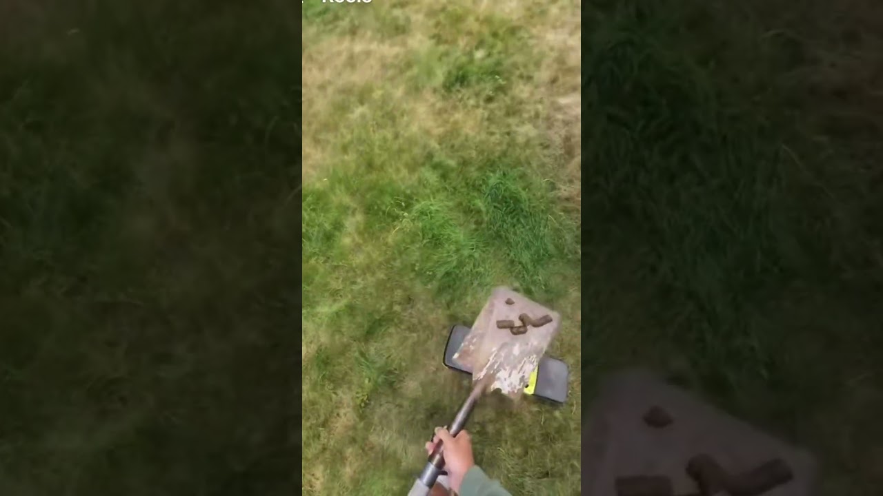 Returning the neighbors dog poop. 😂 #dogs