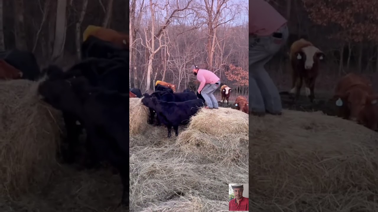 CUANDO TODO TERMINA MAL!! 😭🤣#funnyshorts #fails #humor #viral #laugh #like #video #funny #🤣🤣