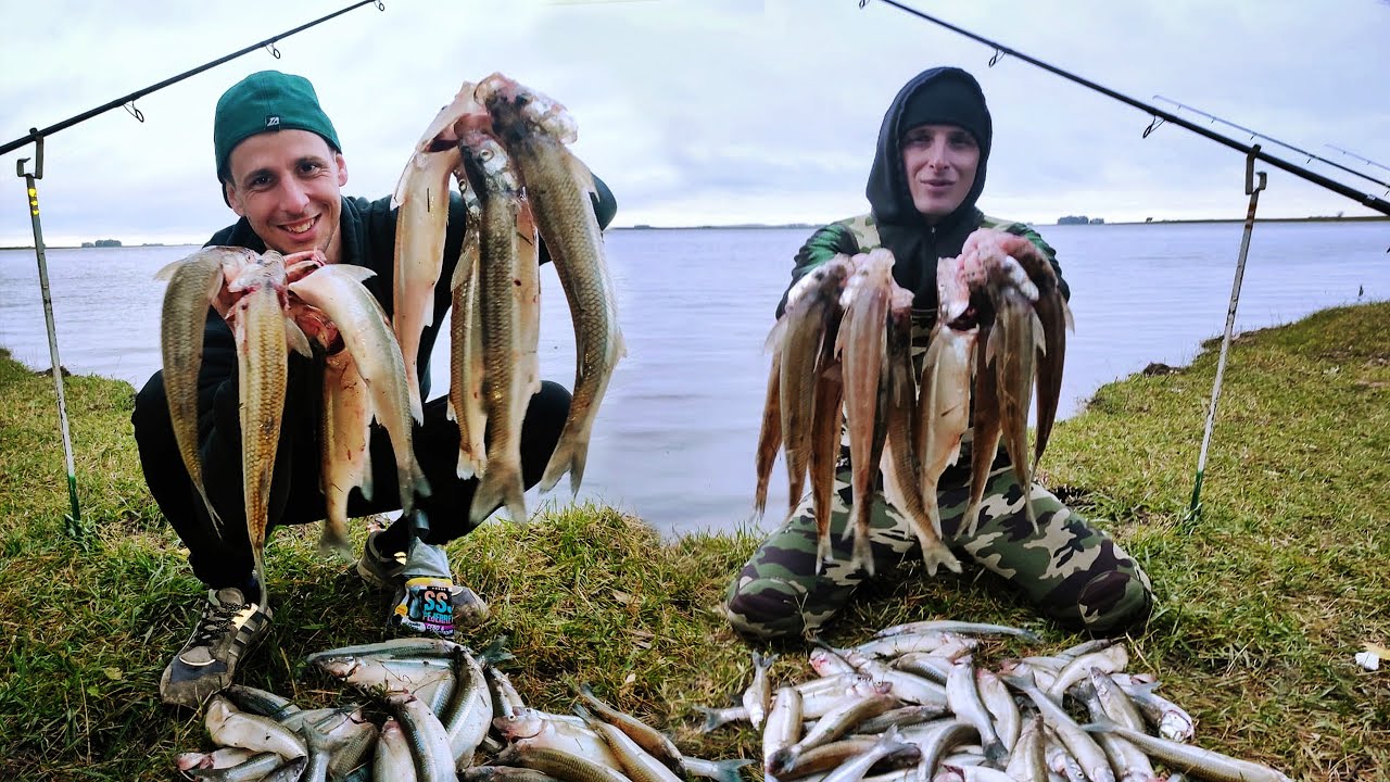 PESCA DE PEJERREY DE COSTA / PEJERREYES GRANDES DE FONDO EN LAGUNA BLANCA CHICA / TAMAÑO MADARIAGA