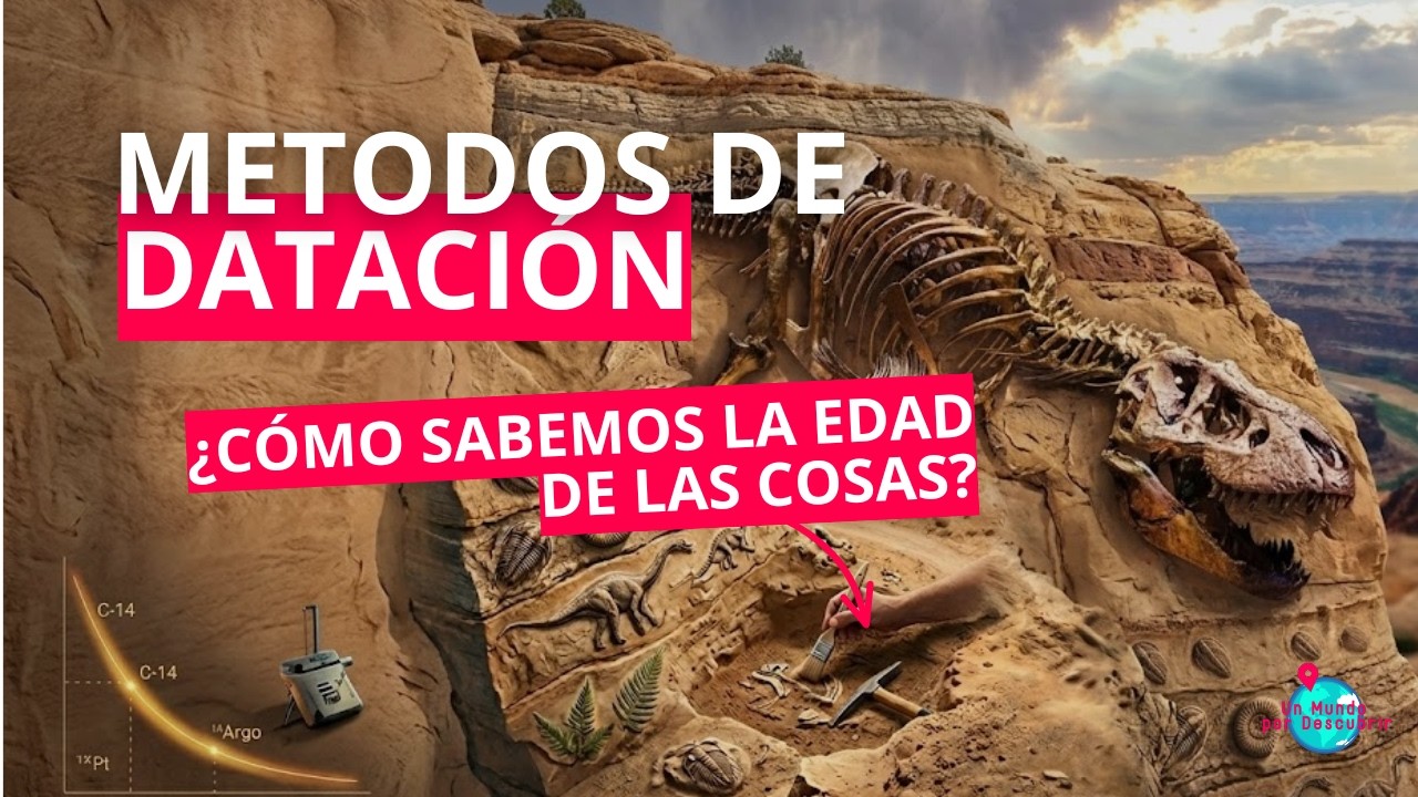 MÉTODOS DE DATACIÓN RELATIVA Y ABSOLUTA, el CARBONO 14 explicado