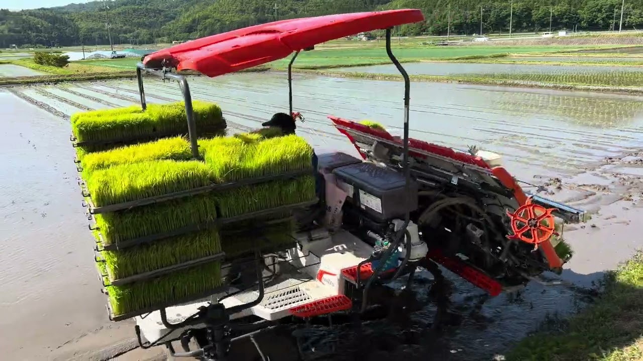 【Kubota】『NW8S GS 』Agriculture 8条植え 田植え機 早すぎる 田植え作業