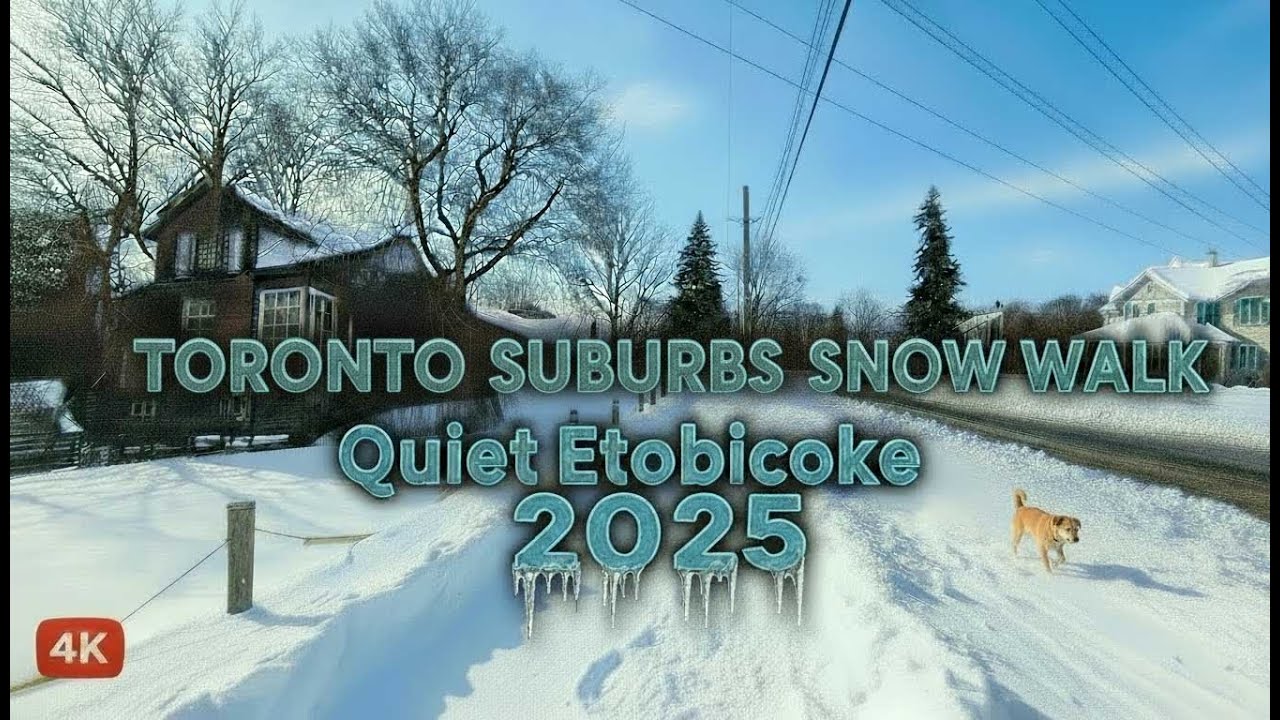 TORONTO WINTER ASMR Walking Tour 4K | Heavy Snow in Etobicoke