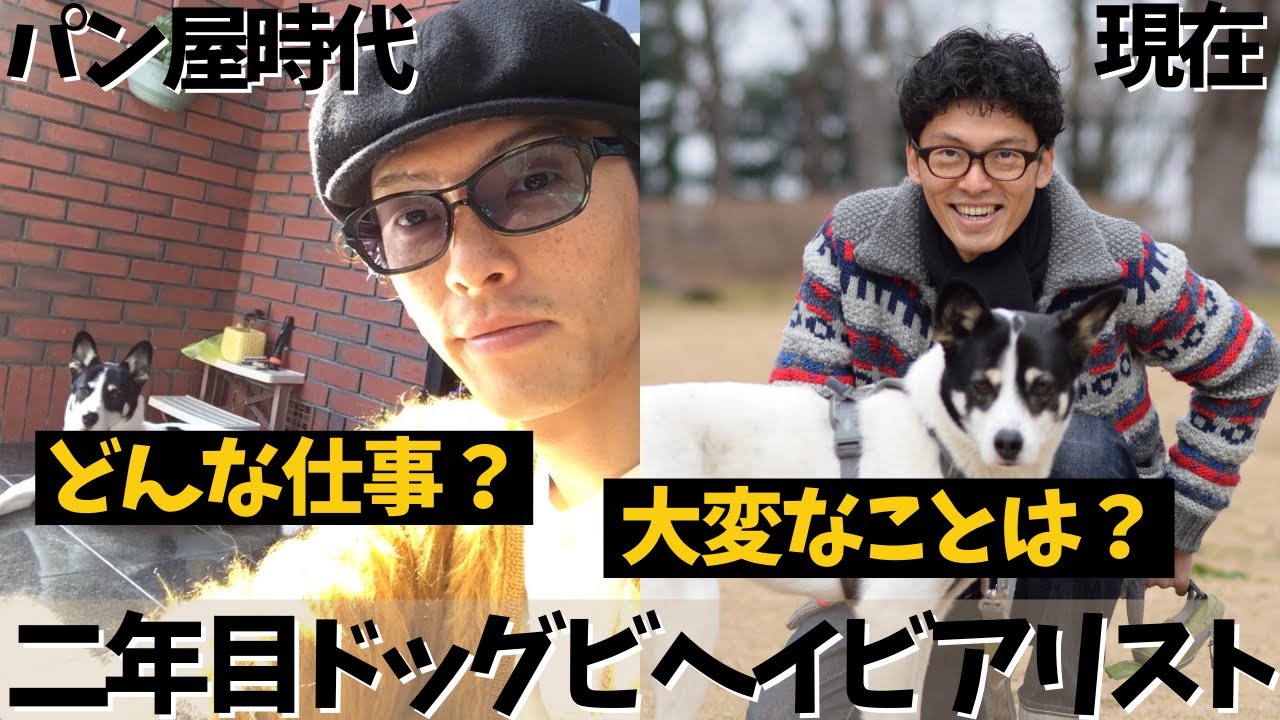 ドッグビヘイビアリストってどんな仕事？ひとことで言うには難しすぎた