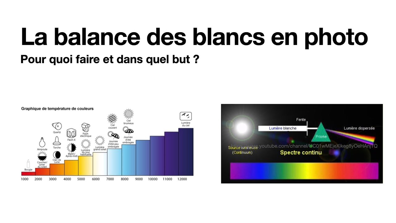Comprendre la balance des blancs en photo