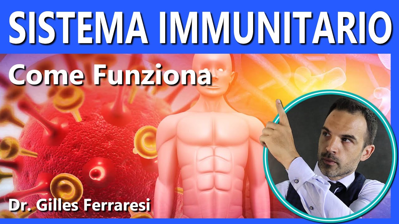 Sistema Immunitario, Anticorpi, Globuli Bianchi | Come Funzionano | Come Sono Fatti