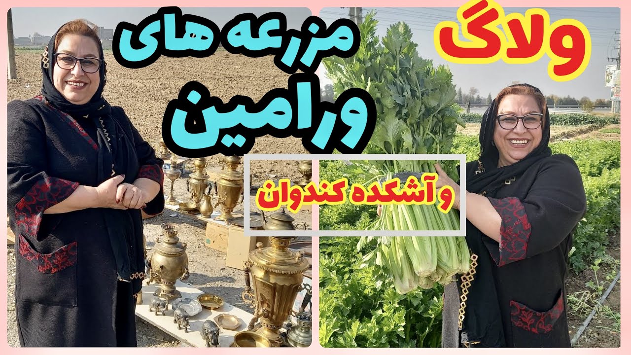 ولاگ مزرعه های ورامین ، کرفس های خوشگل 😅 ، وسایل مسی قدیمی و آش های خوشمزه
