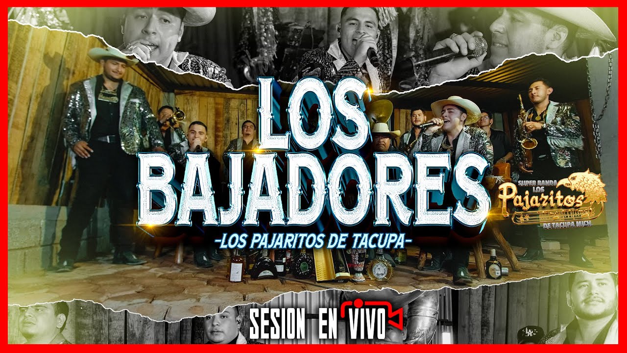 Los Bajadores - Los Pajaritos de Tacupa  (SESION EN VIVO 🔴)