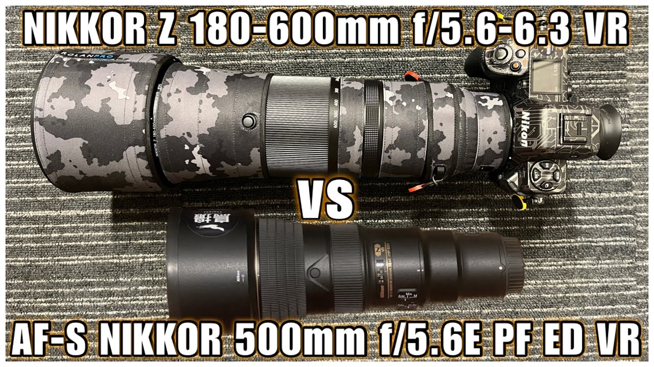 【描写比較】- NIKKOR Z 180-600mm f/5.6-6.3 VR vs AF-S NIKKOR 500mm f/5.6E PF ED VR -