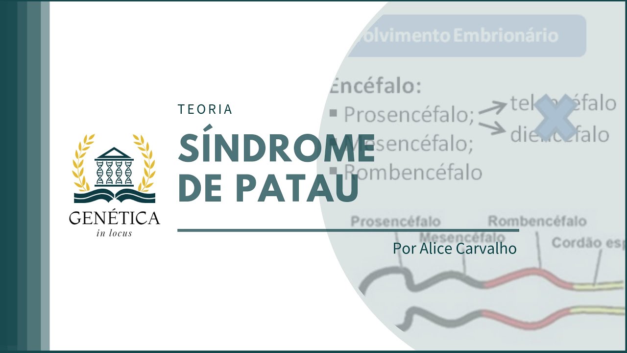 Teoria: Síndrome de Patau