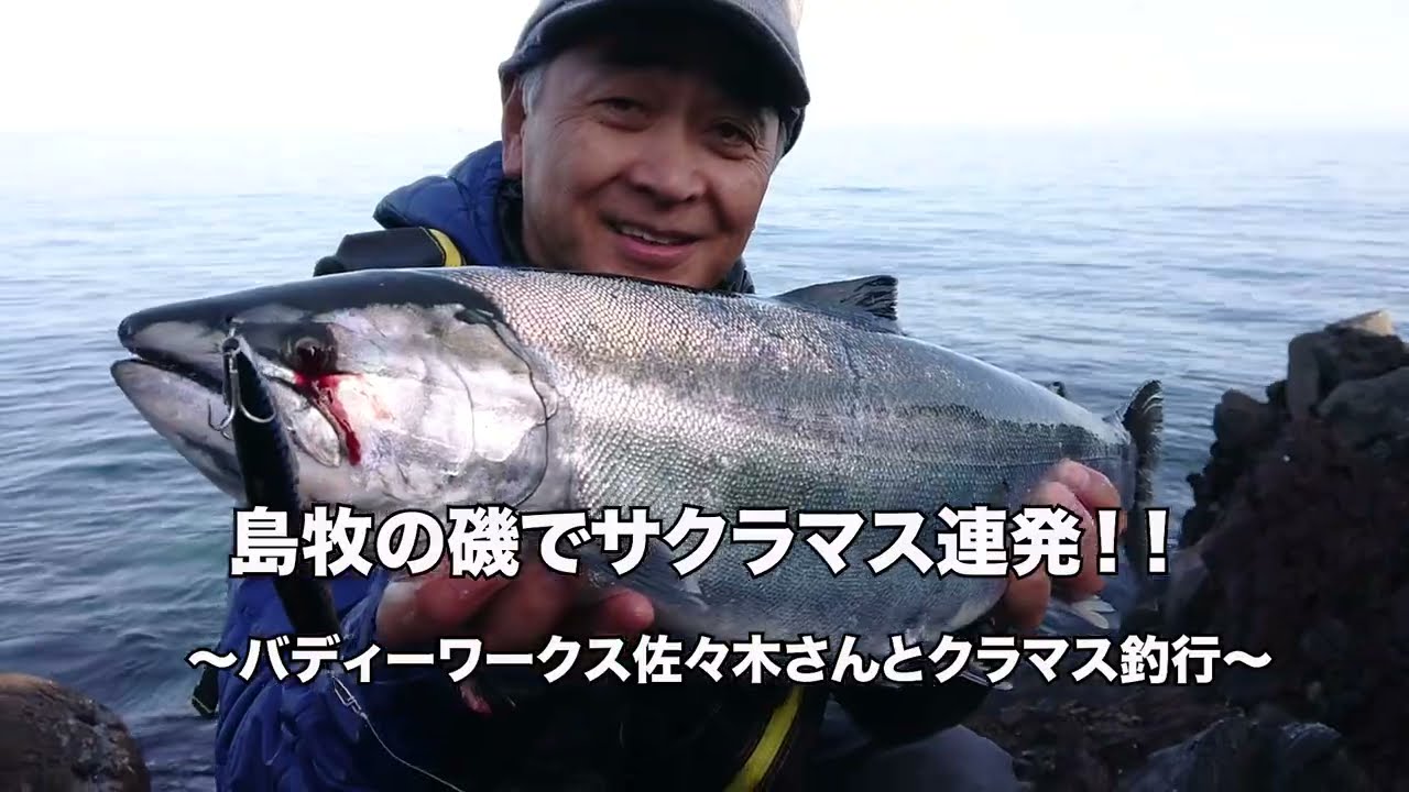 島牧の磯でサクラマス連発！！～バディーワークス佐々木さんとサクラマス釣行～