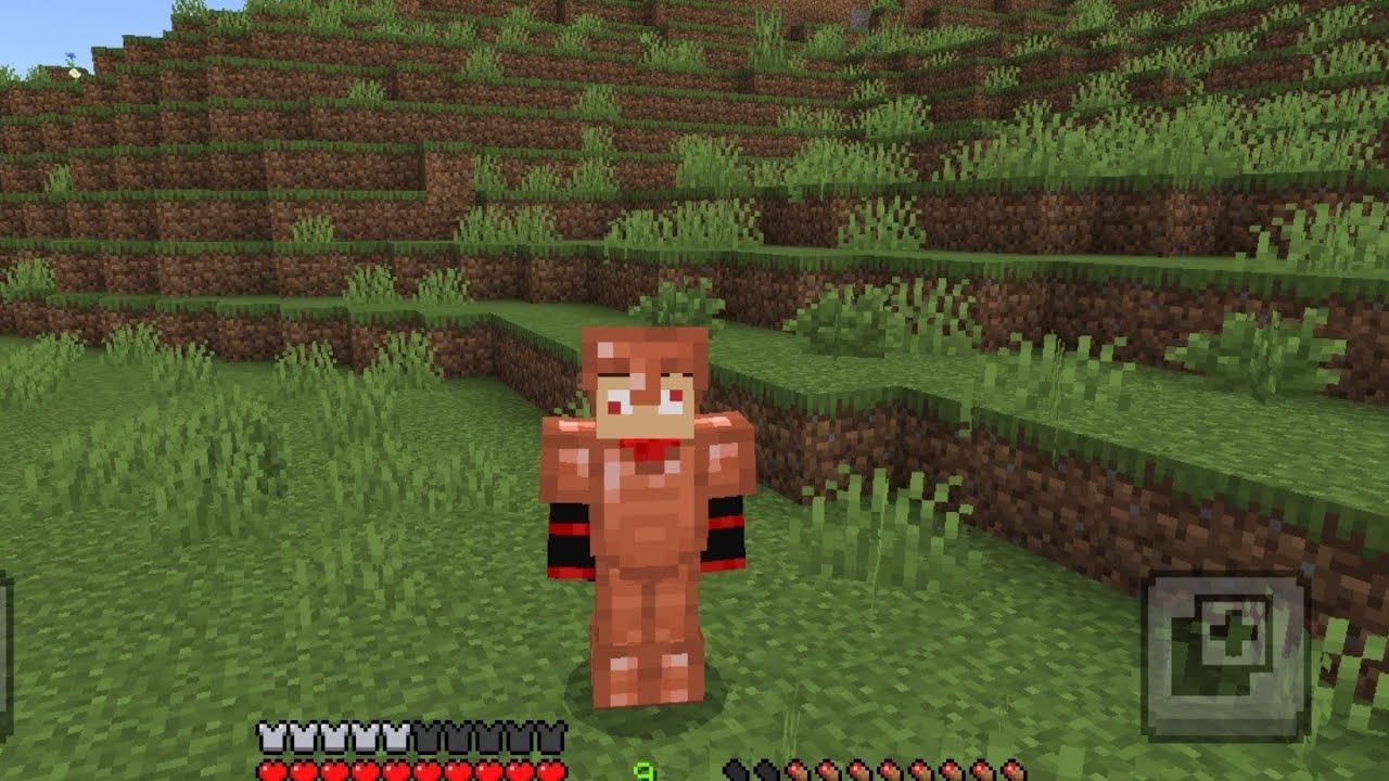  EPISÓDIO 1 NO SOBREVIVÊNCIA 😃😄😃😅