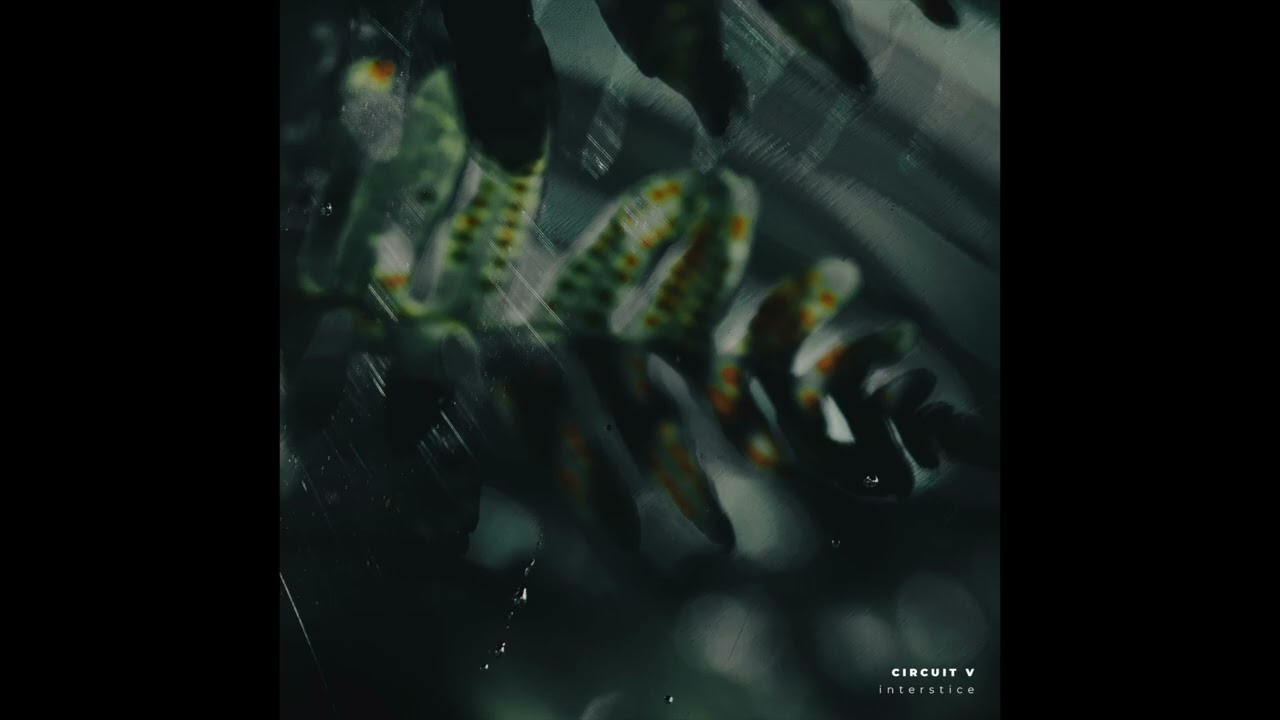 Circuit V - Astral World Ancestral (Landscapes Remix)