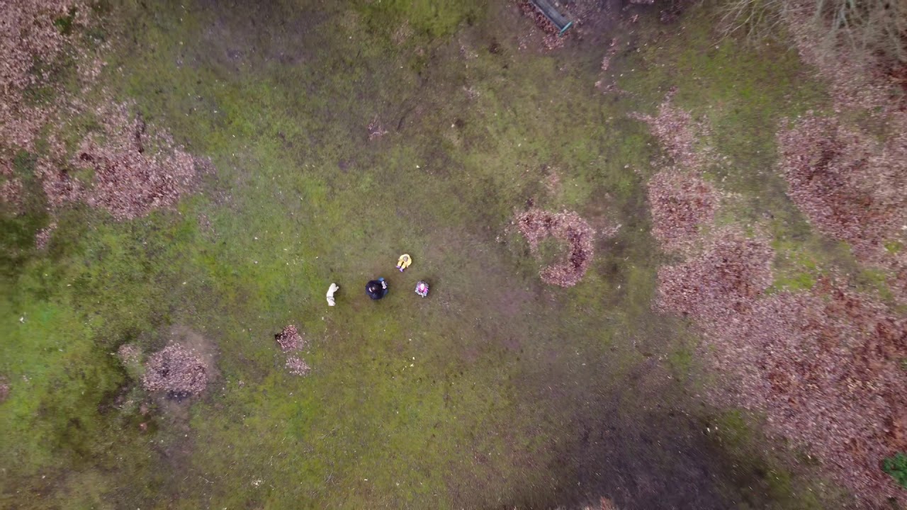 Dorking Deepdene Trail, Chart Park  | Dji mini 2 | 4K drone footage