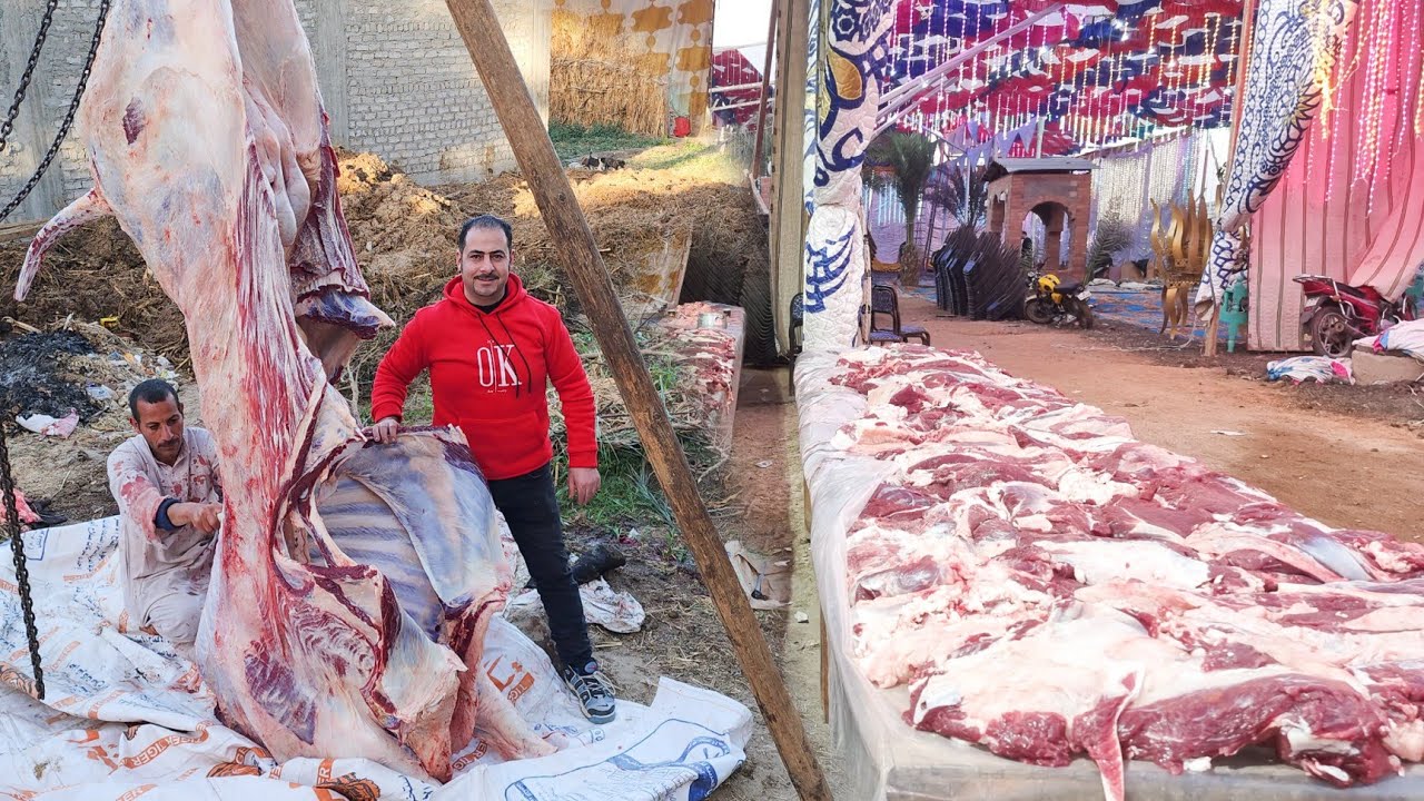 4 دبايح و 3 خرفان 🐏 من أكبر فرح في الصعيد مع الشيف محمد الجمل 🐪 هنتعرف على أصناف الأكل 💯