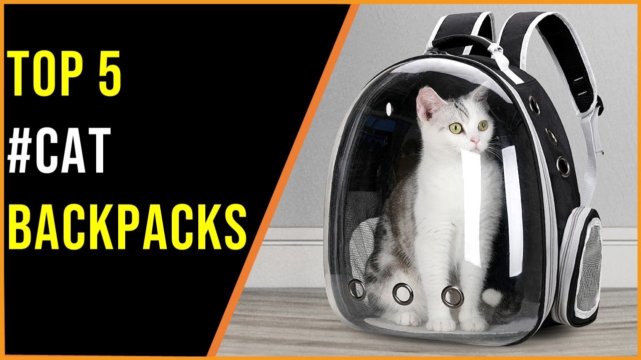 ✅Best cat backpacks 2023 | Top 5 Cat backpacks Review |