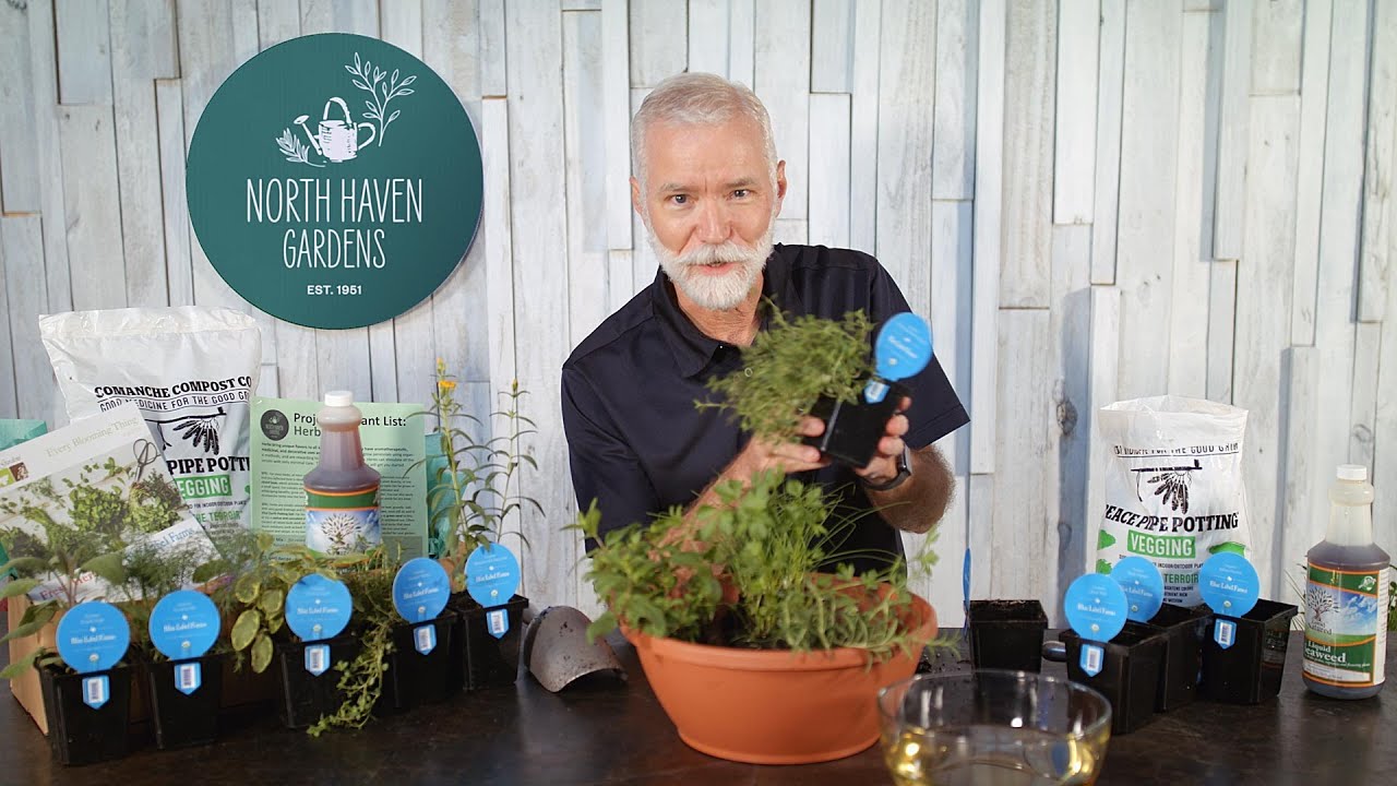 Grow Your Own Herb Bowl 🌿 | Easy DIY Kit with Rusty Allen at North Haven Gardens