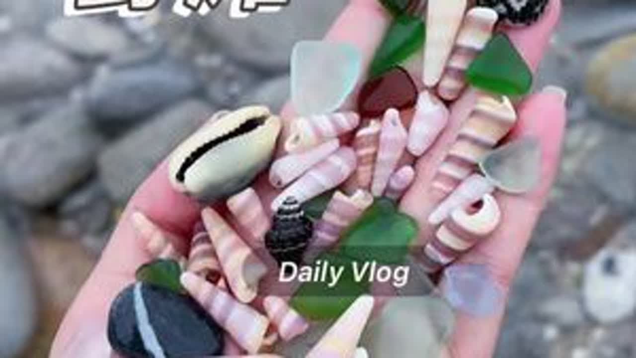 冠头岭野滩 好笑的是路过两个走野路的小伙子边走边说神秘园🤣同款贝壳去冠岭山庄幸福湾，建议潮高3.5米以下再去，捡贝壳嘛，除了考眼力还得看天意#解压#北海#海边生活日记 #创作者中心 #创作灵感