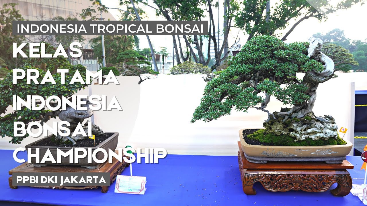 Kelas Pratama di Pameran dan Kontes 