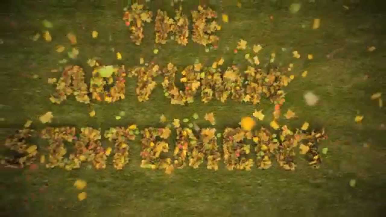 The 2014 Autumn Statement On Sky News