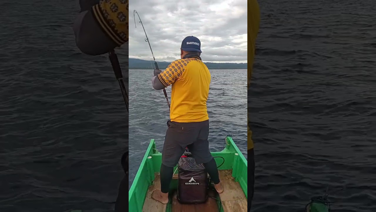 Mancing hiu simpan dibak #asalmancing #mancingmantap #fishing #fyp