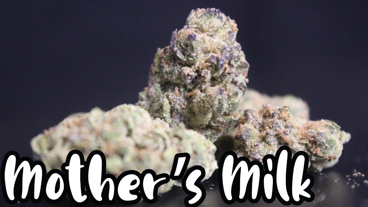 Mother's Milk Strain Review