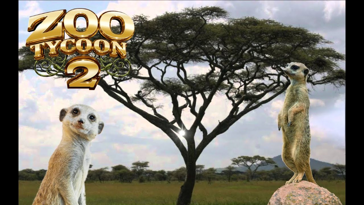 Zoo Tycoon 2: Meerkat Exhibit Speed Build