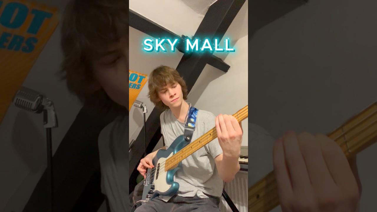 Sky Mall will continue my streak of Vulfpeck bass covers