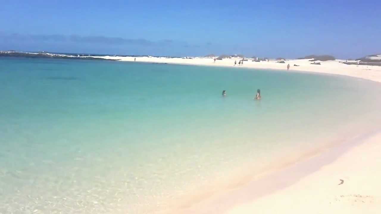 El cotillo