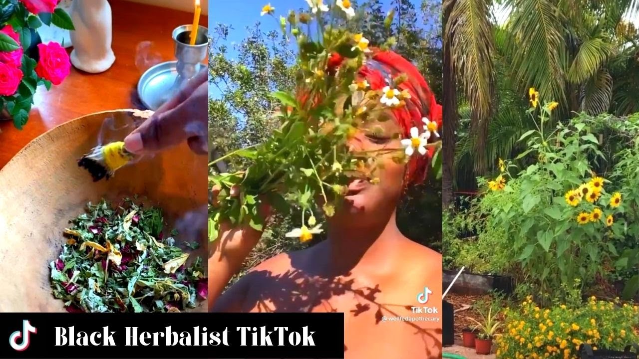 Black Herbalist TikTok | Black Girl TikTok