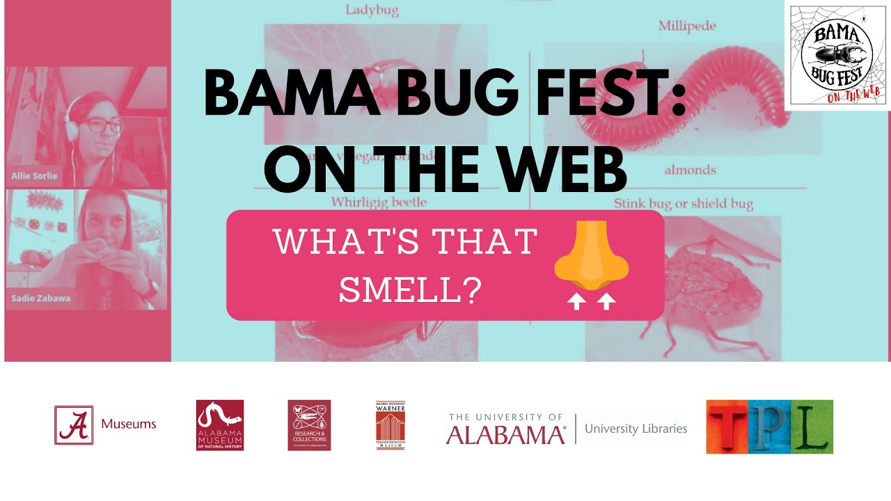 Bama Bug Fest: On the Web - What's that Smell?