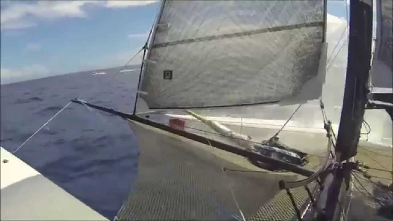 Toro 34 by Design Catamaran For Sale - Harel Yachts - 117.000€