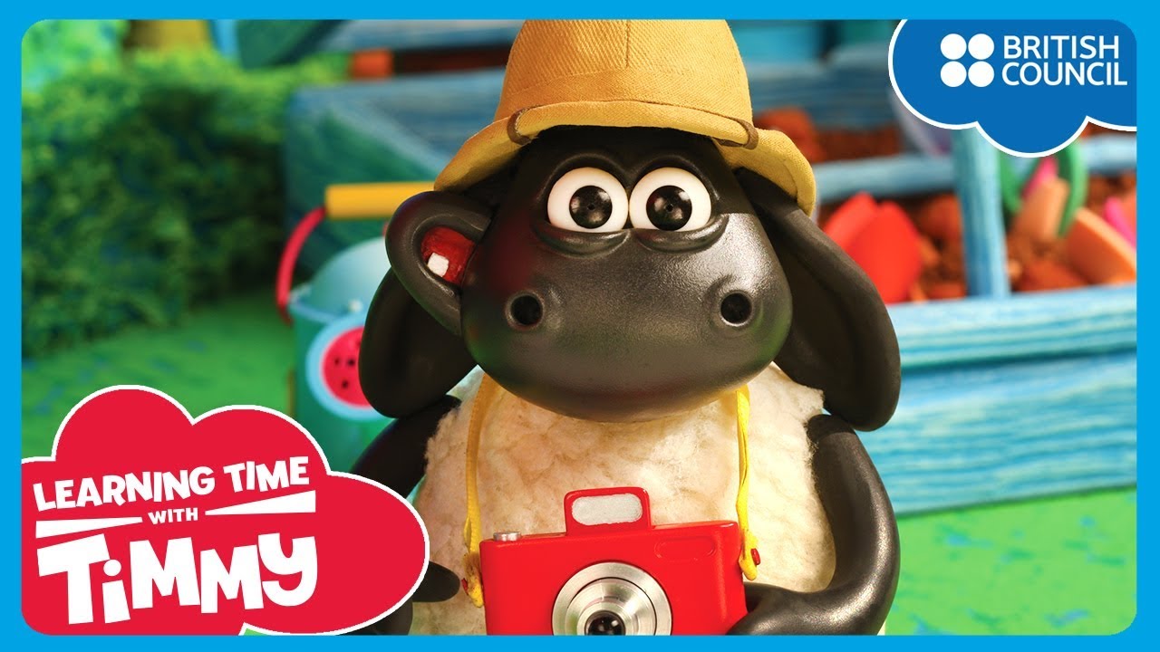Jungle Animals | Learning Time With Timmy