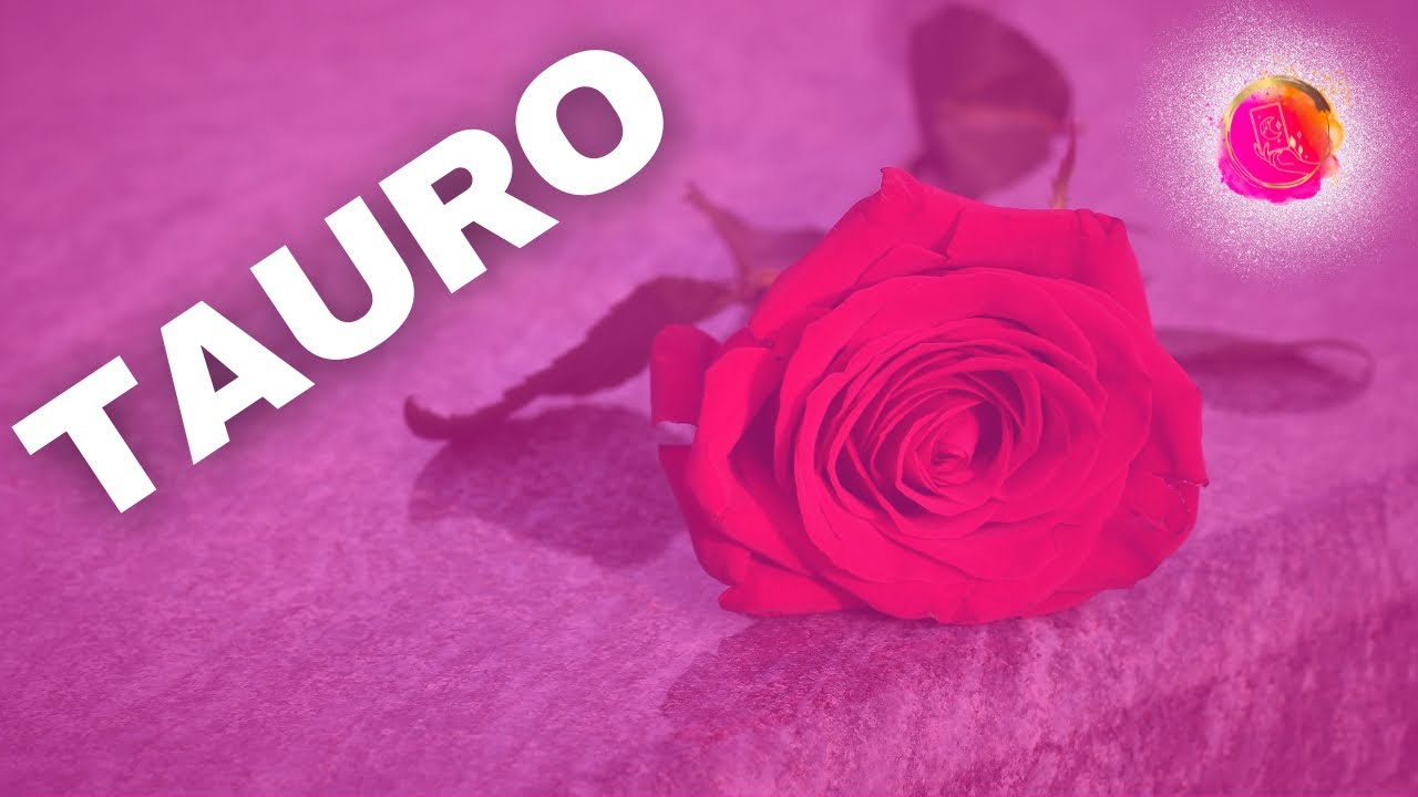 TAURO ♉️: ¡SOLUCIONA TODO POR TI, PORQUE SE NIEGA A PERDERTE!¡DESCUBRE QUE TE AMA!❤️‍🩹