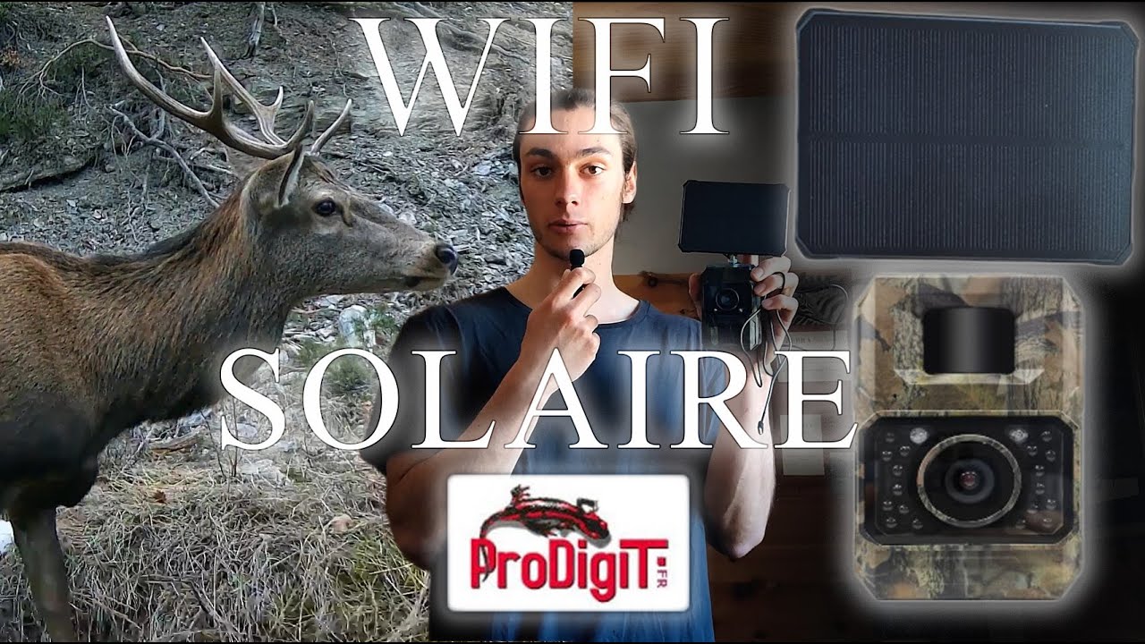 Piège photo WIFI et Solaire ! Test de la marque Prodigit