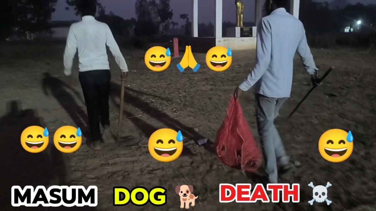 Cute Dog Death 😢🐶 || मासूम कुत्ते की दर्दनाक मौत || Helping Boy 🙏 || Kamlesh Dehati 7 || Vlog