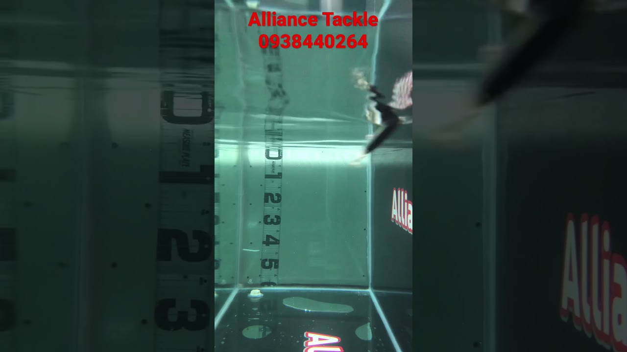 Lucky Craft Wander 80 (80mm, 12g, Ch&igrave;m- Pencil, Dart, C&oacute; tiếng nhỏ)