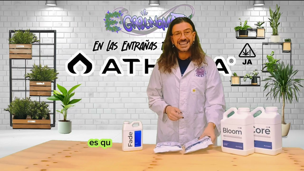En las Entrañas de Athena Vol.2 Hoy Bloom+Core+Fade. Te lo cuento.