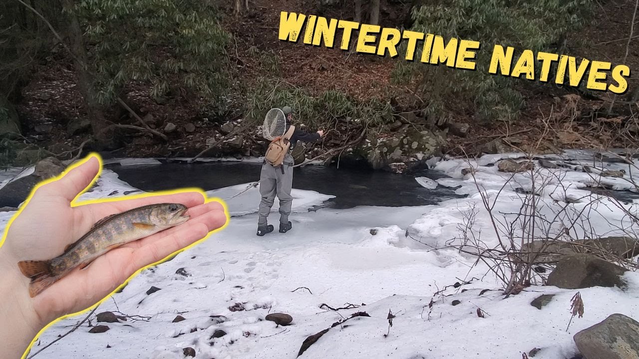 This Stream Was FROZEN OVER But I Still Caught Some BEAUTIFUL Trout!