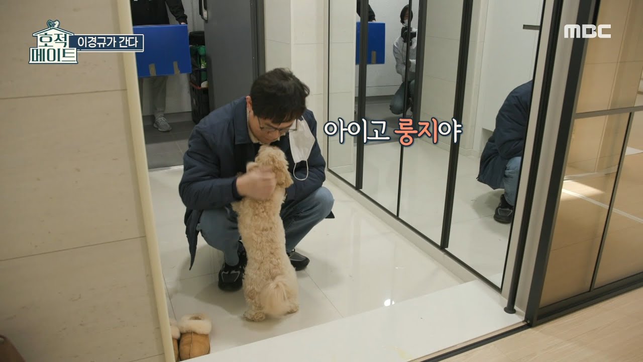 [호적메이트] 감동의 부녀 상봉...? 룽지와 오랜만에 만나는 이경규🥰🐕, MBC 220308 방송