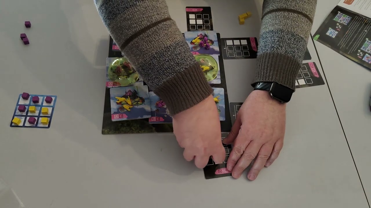 Landomy  - Gameplay