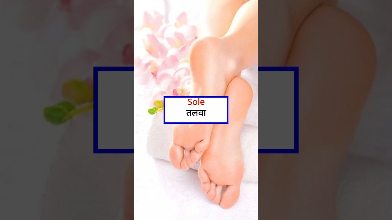 Same Pronunciation, Different Meaning! 🤯 | English Vocabulary | RK Tutorial #shorts